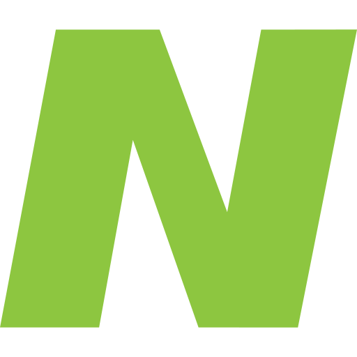 netter payments