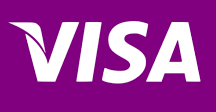 visa payments