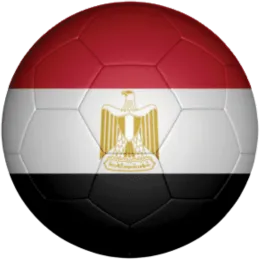 FC Egypt logo
