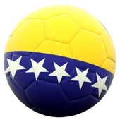 Bosnia & Herzegovina logo