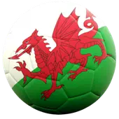 Wales logo