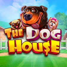 the dog house megaways