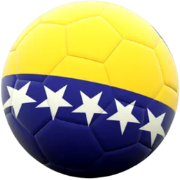 FC Bosnia and Herzegovina logo