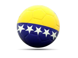 bosnia and herzegovina logo